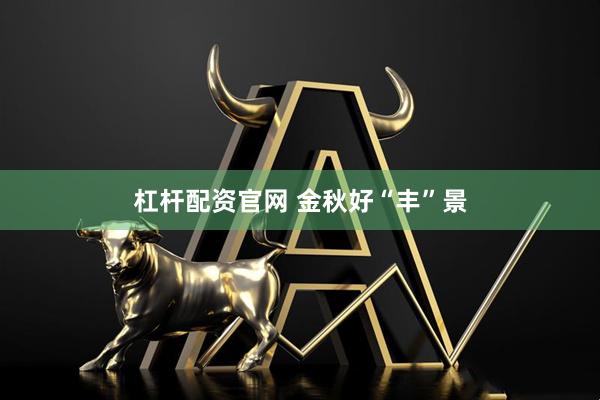 杠杆配资官网 金秋好“丰”景