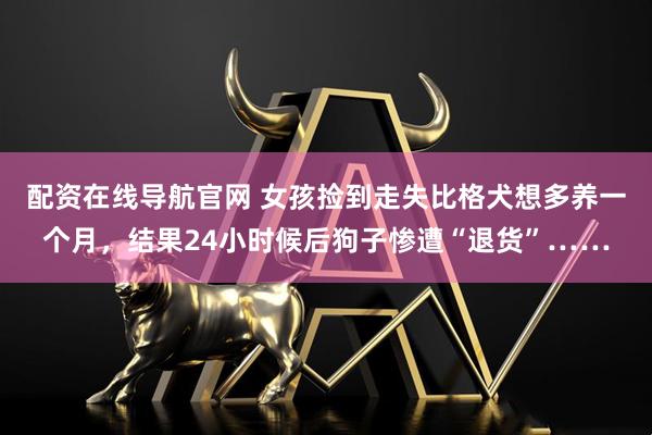 配资在线导航官网 女孩捡到走失比格犬想多养一个月，结果24小时候后狗子惨遭“退货”……