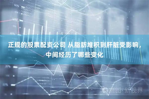 正规的股票配资公司 从脂肪堆积到肝脏受影响，中间经历了哪些变化